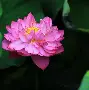 英雄联盟官网-base码表